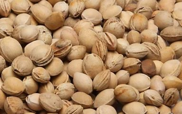 Kirschsteine 2000g natürliche Füllung für Wärmekissen Körnerkissen und DIY Nähprojekte