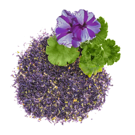 Lavendel